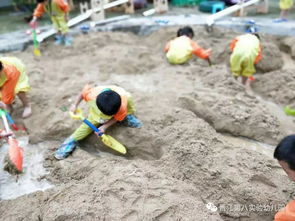 引水渠游戏,智慧灌溉的古代游戏之旅(图1) 引水渠游戏,智慧灌溉的古代游戏之旅(图1)