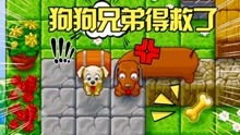现在流行的小游戏,让你轻松上瘾!(图2) 现在流行的小游戏,让你轻松上瘾!(图2)