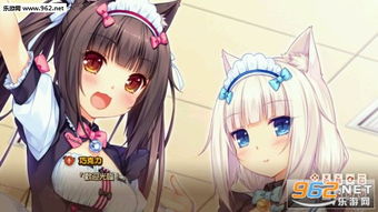 贪玩猫游戏交易最新版下载v1.1.0 (图1) 贪玩猫游戏交易最新版下载v1.1.0 (图1)