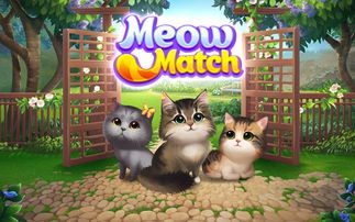猫爱玩的游戏,揭秘猫咪的趣味游戏世界(图2) 猫爱玩的游戏,揭秘猫咪的趣味游戏世界(图2)