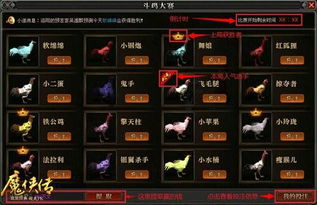 游戏斗鸡玩法,策略与技巧的巅峰对决(图2) 游戏斗鸡玩法,策略与技巧的巅峰对决(图2)