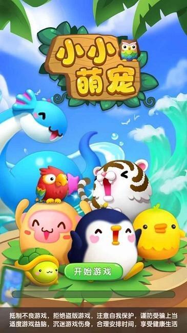 萌宠玩游戏,游戏世界里的萌宠狂欢(图2) 萌宠玩游戏,游戏世界里的萌宠狂欢(图2)