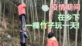 玩竹子游戏,探寻竹子游戏的魅力与智慧(图1) 玩竹子游戏,探寻竹子游戏的魅力与智慧(图1)