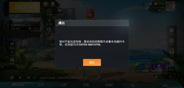 游戏发警告,守护玩家健康与安全(图3) 游戏发警告,守护玩家健康与安全(图3)