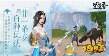 冬至耳朵游戏,传承民俗乐趣(图3)