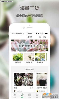 绿手指游戏,打造绿色家园的趣味之旅(图1) 绿手指游戏,打造绿色家园的趣味之旅(图1)