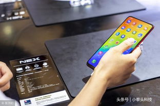小桃的纠结安卓游戏 (图3) 小桃的纠结安卓游戏 (图3)