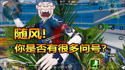 游戏 随风,探索奇幻游戏世界的奥秘之旅(图2)