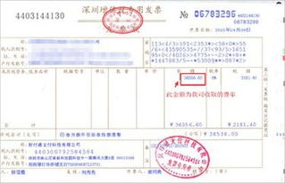 游戏专票,畅游奇幻之旅(图2)