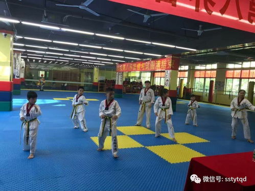 琼海游戏馆,尽享科技娱乐盛宴(图2)