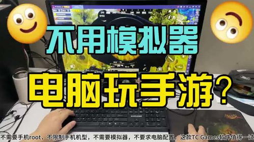手机游戏和电脑游戏玩家,手机游戏与电脑游戏玩家画像解析(图2) 手机游戏和电脑游戏玩家,手机游戏与电脑游戏玩家画像解析(图2)