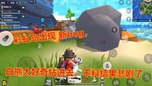 白熊游戏解说,揭秘游戏背后的趣味与智慧(图2) 白熊游戏解说,揭秘游戏背后的趣味与智慧(图2)