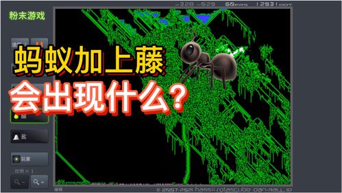 蚂蚁实验游戏,探索集体智慧与团队协作的奥秘(图3) 蚂蚁实验游戏,探索集体智慧与团队协作的奥秘(图3)