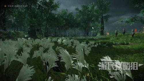 游戏芦苇,自然与冒险的奇幻之旅(图1) 游戏芦苇,自然与冒险的奇幻之旅(图1)