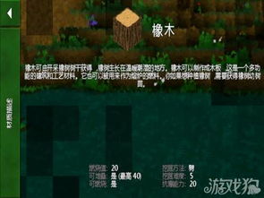 游戏橡木,游戏世界的绿色守护者(图2) 游戏橡木,游戏世界的绿色守护者(图2)