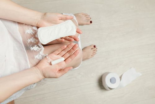 子宫机游戏,探索女性生育奥秘的虚拟之旅(图3) 子宫机游戏,探索女性生育奥秘的虚拟之旅(图3)
