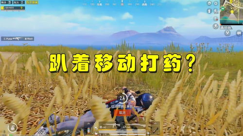 游戏打药,游戏中的医疗奇迹之旅(图2) 游戏打药,游戏中的医疗奇迹之旅(图2)