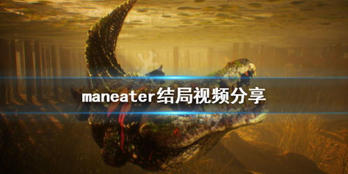 视频游戏结局,揭秘命运交织的结局之谜(图1)