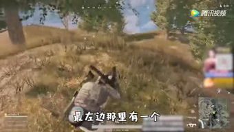 卧捕游戏,揭秘神秘卧底(图1) 卧捕游戏,揭秘神秘卧底(图1)