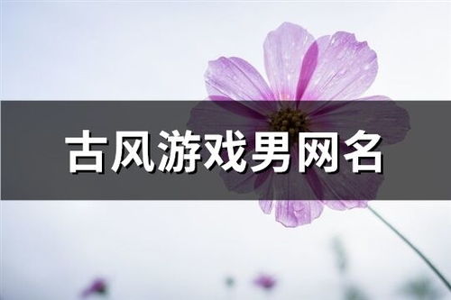 游戏签名男,男生签名背后的热血传奇(图2) 游戏签名男,男生签名背后的热血传奇(图2)