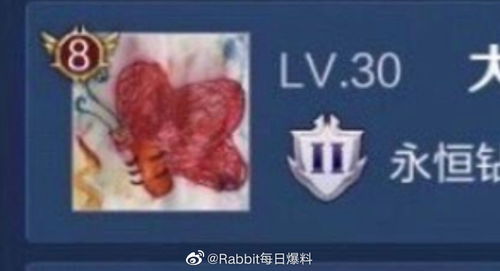 游戏渣子,揭秘电子竞技界的“另类英雄”(图3) 游戏渣子,揭秘电子竞技界的“另类英雄”(图3)