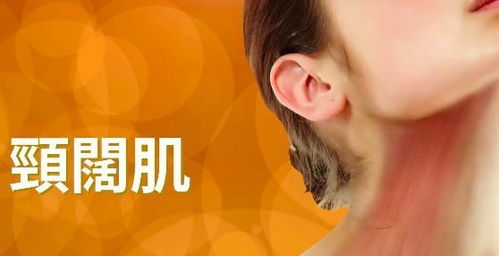举眉游戏,趣味无限(图2) 举眉游戏,趣味无限(图2)