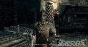 火梗游戏,挑战极限的竞技盛宴(图3)