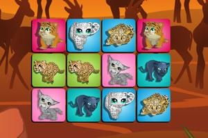 猫科游戏,探索神秘猫族世界的奇幻冒险之旅(图1)