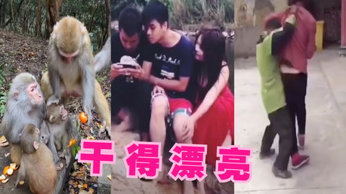 搞笑联欢游戏,笑翻天!搞笑联欢游戏欢乐无限(图2) 搞笑联欢游戏,笑翻天!搞笑联欢游戏欢乐无限(图2)