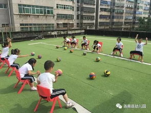 户外游戏体育,畅享健康生活(图2) 户外游戏体育,畅享健康生活(图2)