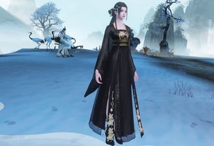 汉服配色游戏,探寻传统服饰中的和谐搭配艺术(图2)