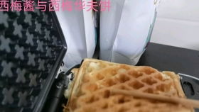 西梅游戏,探索无尽乐趣的奇幻之旅(图2) 西梅游戏,探索无尽乐趣的奇幻之旅(图2)