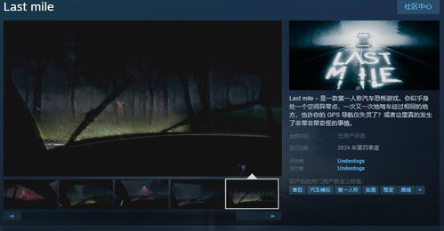 恐怖游戏汽车,汽车恐怖游戏背后的惊悚故事(图3)