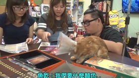 交易者游戏模拟器游戏安卓版下载 (图2) 交易者游戏模拟器游戏安卓版下载 (图2)