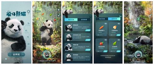 熊猫聊游戏,探索无限乐趣(图2)