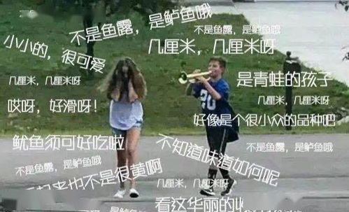 炒菜游戏反思,烹饪艺术与人生哲理的碰撞(图1) 炒菜游戏反思,烹饪艺术与人生哲理的碰撞(图1)