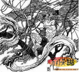 游戏人吴刚,游戏世界的传奇英雄(图3) 游戏人吴刚,游戏世界的传奇英雄(图3)