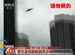 自残游戏组织,网络阴影下的心理陷阱(图3)