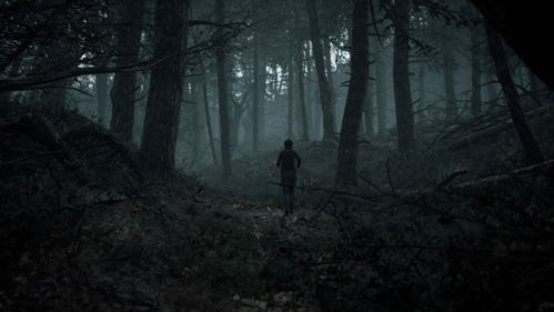 现实阴间游戏,揭秘现实世界中的神秘幽境(图2)