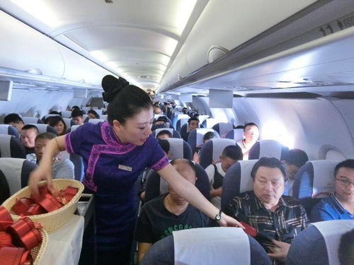 客舱游戏,揭秘客舱游戏的魅力与乐趣(图3) 客舱游戏,揭秘客舱游戏的魅力与乐趣(图3)
