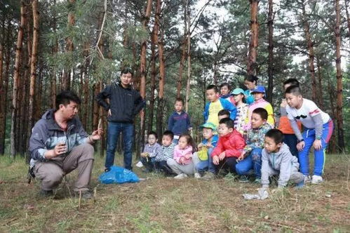 幼儿打猎游戏,寓教于乐的户外探险体验(图3)