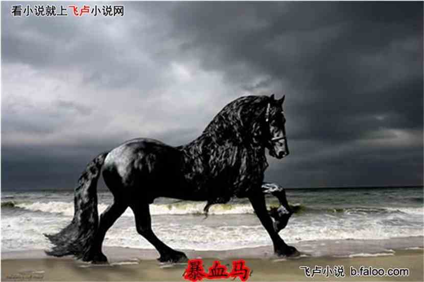 帅马游戏,引领潮流的虚拟娱乐新纪元(图1) 帅马游戏,引领潮流的虚拟娱乐新纪元(图1)