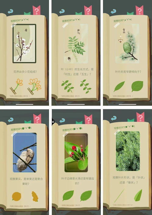 种树游戏学习,寓教于乐的环保教育新体验(图3) 种树游戏学习,寓教于乐的环保教育新体验(图3)