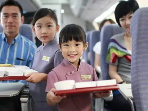 空姐餐游戏,揭秘航空美食背后的故事与技巧(图3)