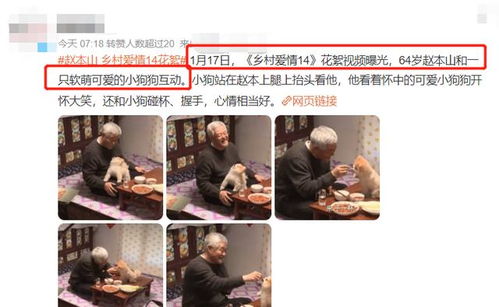 盘坐游戏,探寻东方智慧与身心平衡的奥秘之旅(图2)