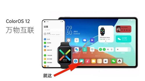 xposed框架安卓8.1 (图3) xposed框架安卓8.1 (图3)