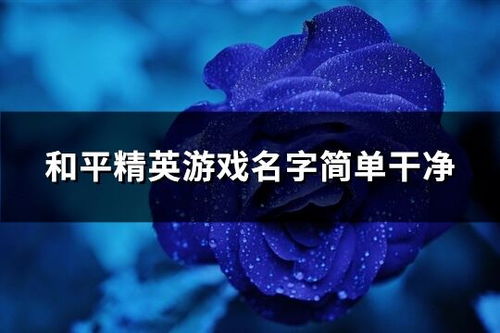 游戏昵称干净,探寻游戏昵称背后的纯净世界(图2) 游戏昵称干净,探寻游戏昵称背后的纯净世界(图2)