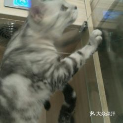 呲牙游戏,释放压力的全新体验(图2) 呲牙游戏,释放压力的全新体验(图2)