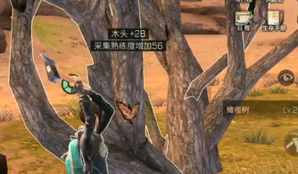 游戏枯树,探寻荒野中的神秘传说与冒险之旅(图2)