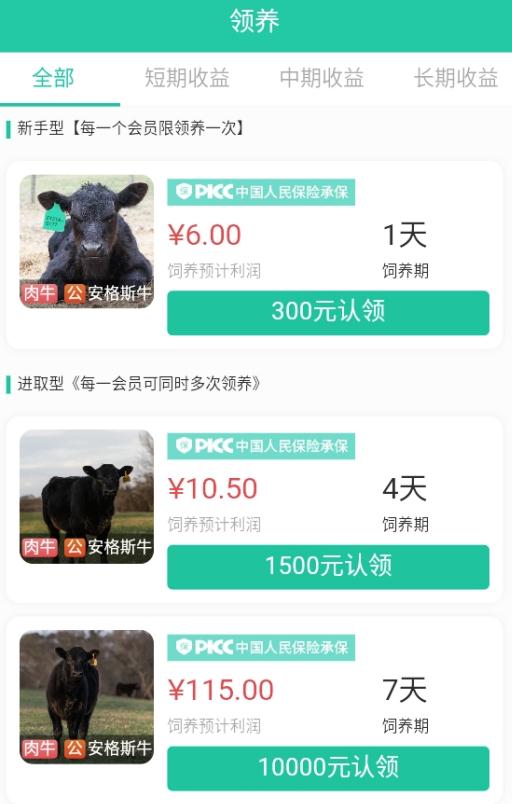 奈枫游戏,探索虚拟世界的奇幻之旅(图2) 奈枫游戏,探索虚拟世界的奇幻之旅(图2)